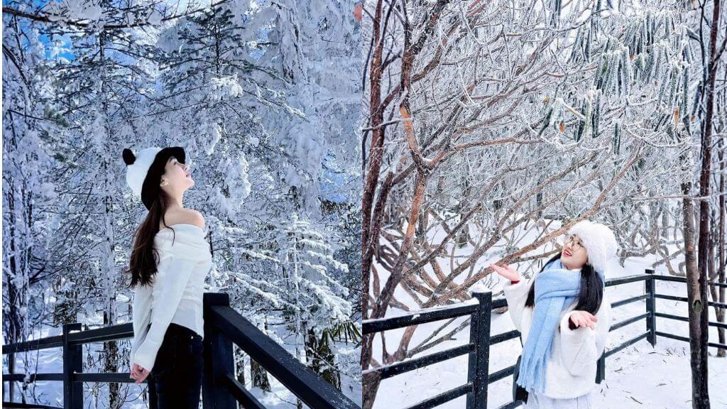 Check in tại Núi Tuyết Kiệu Tử