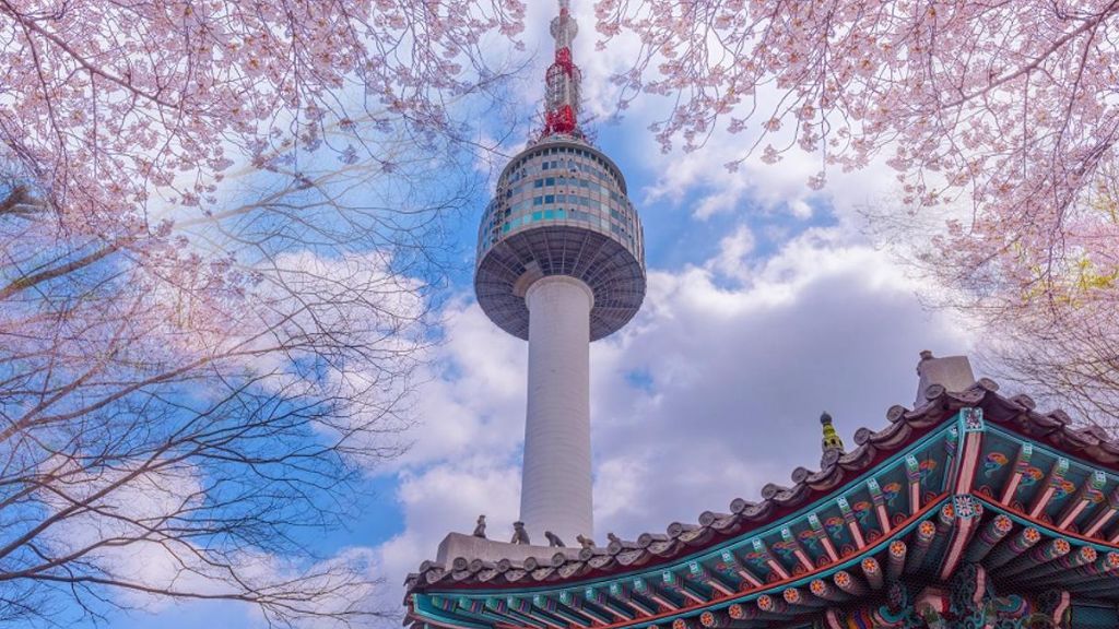 Tháp NamSan trong khung cảnh mùa xuân tươi đẹp