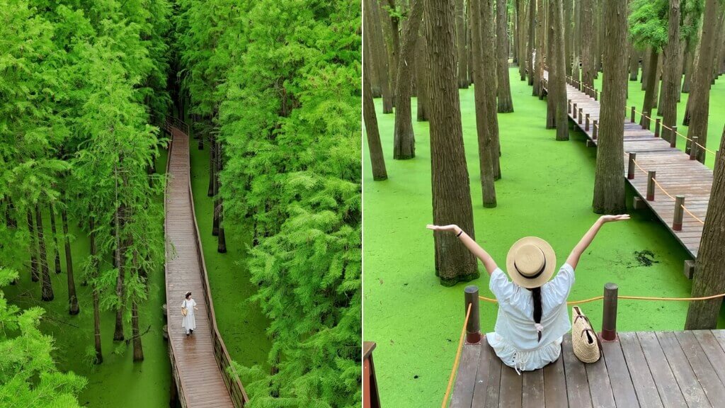 Hồ Thanh Sơn là điểm check in cực hot