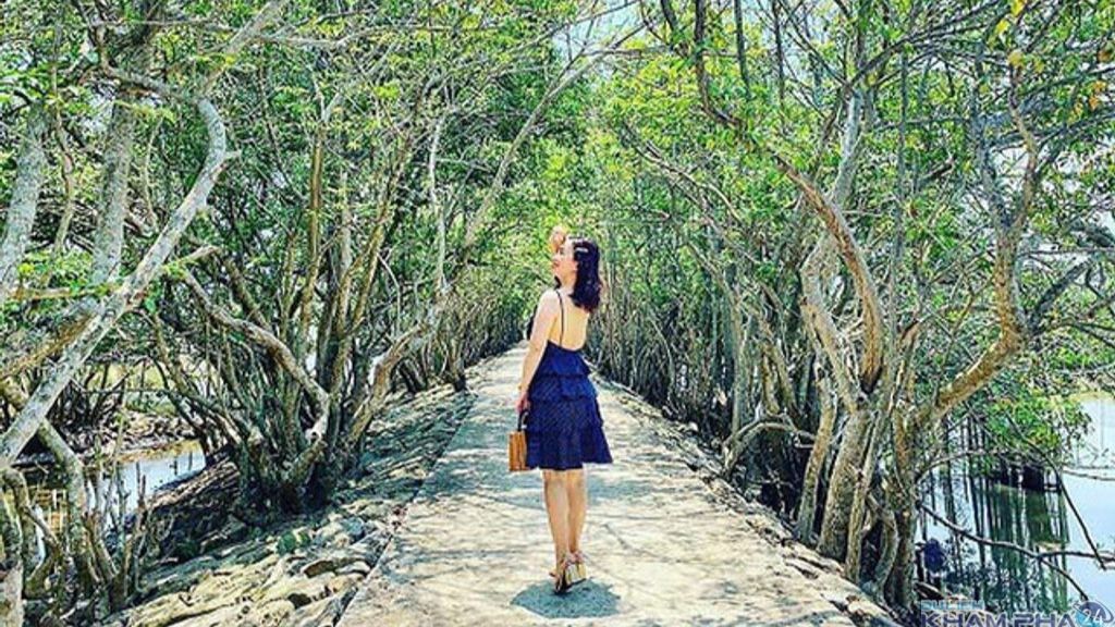 Rừng ngập mặn Rú Chá Huế