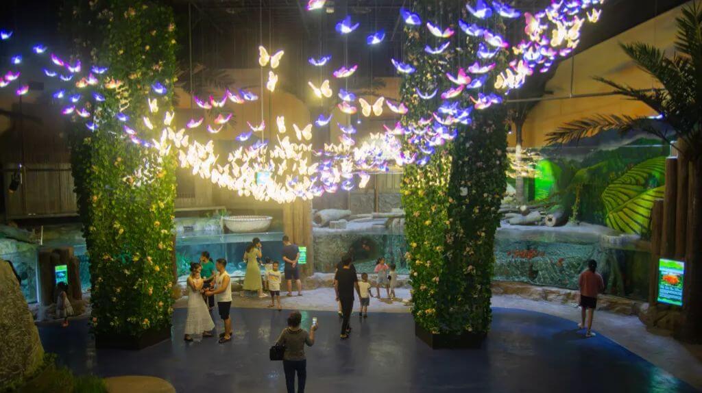 Quý khách trải nghiệm Lotte World Aquarium