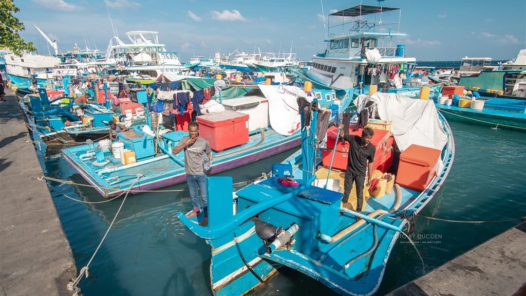 Cảnh chợ cá nhộn nhịp ở Maldives