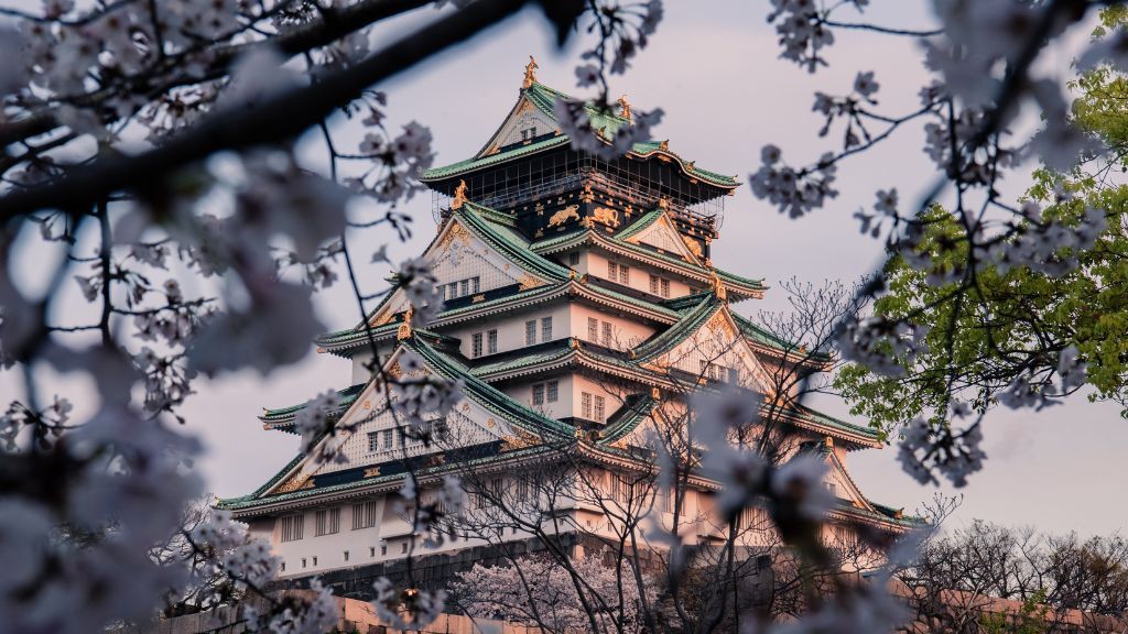 Lâu đài Osaka nguy nga