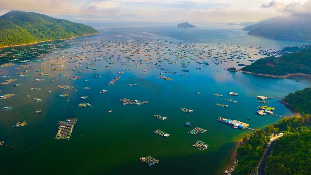 Vinh Vũng Rô   một trong những vĩnh biển xinh đẹp của miền Trung