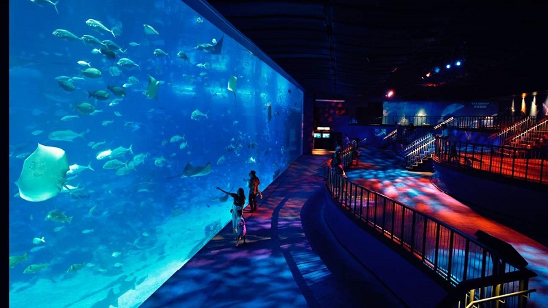 Thủy cung S E A Aquarium - Đảo Sentosa
