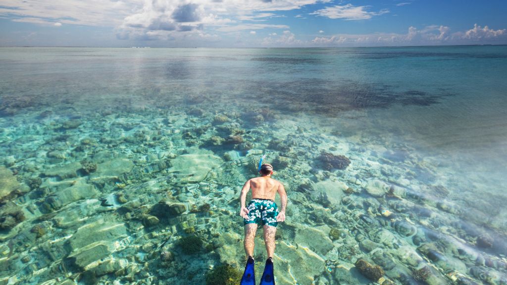 Trải nghiệm lặn biển ngắm san hô tại Maldives