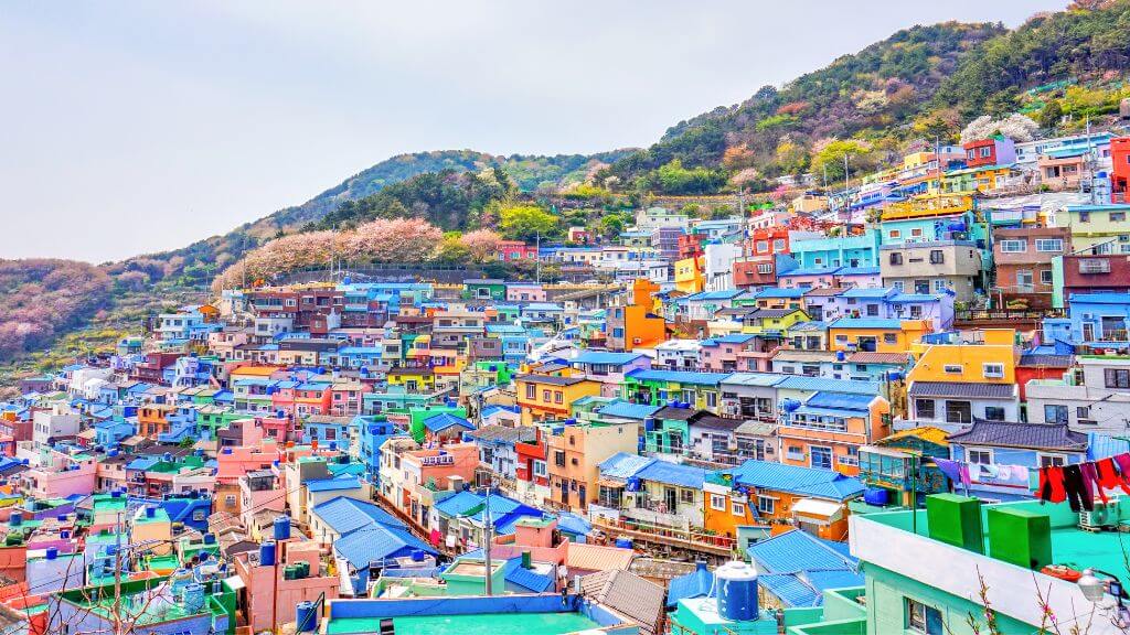 Làng văn hóa Gamcheon là ngôi làng đầy màu sắc sặc sỡ bạn nên ghé thăm khi đi du lịch Hàn Quốc
