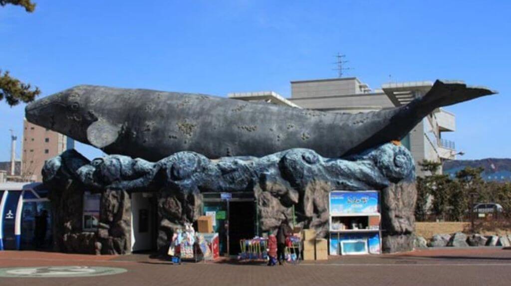 Khu sinh thái cá voi và cá heo tại Ulsan