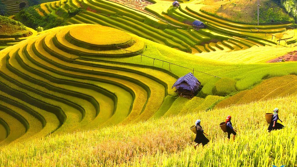 Thung lũng Mười Hoa - Thiên đường hạ giới  của Sapa