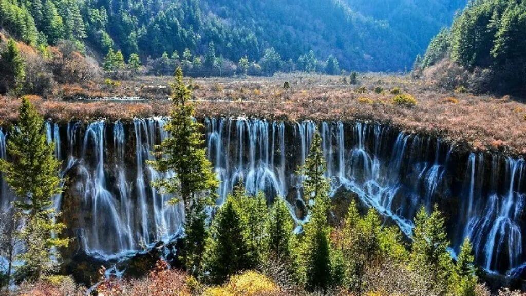 Tham quan và check in tại Thụ Chính Câu