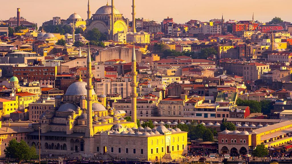 Istanbul, thành phố do loài mèo 'thống trị'