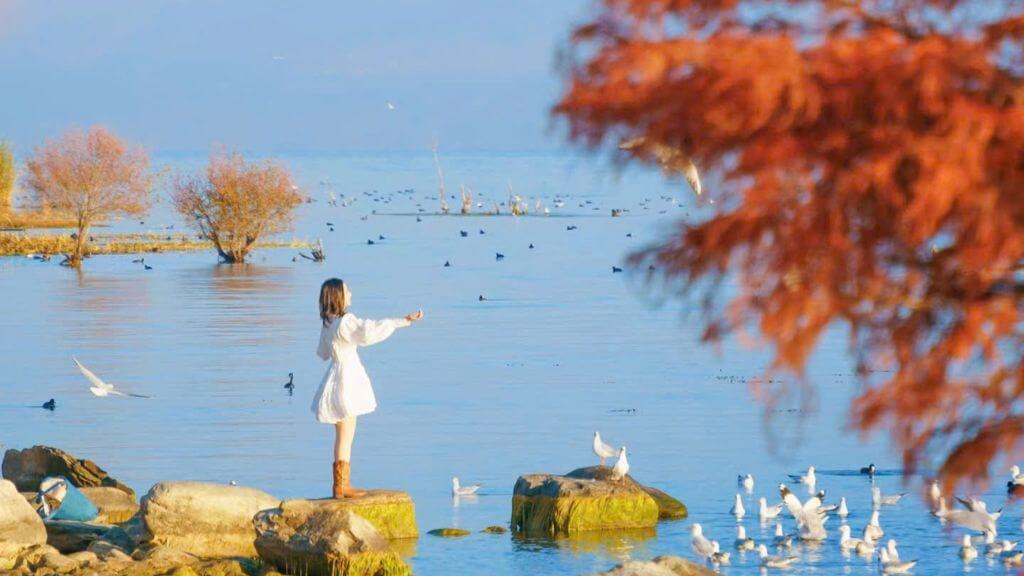 Vẻ đẹp của Hồ Nhĩ Hải