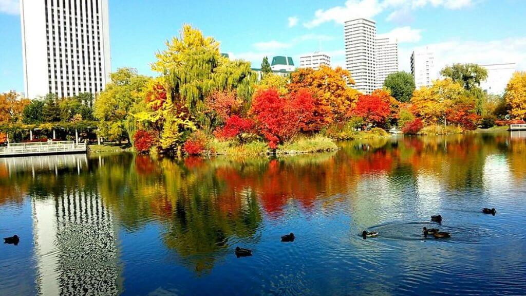 Công viên Nakajima Park – góc xanh yên bình giữa Sapporo