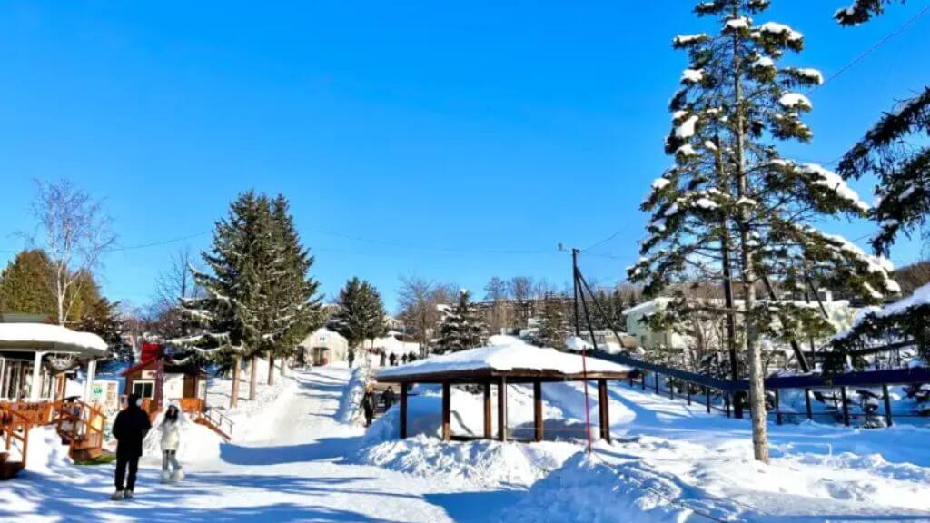 Vườn thú Asahiyama – vườn thú nổi tiếng ở Asahikawa, Nhật Bản