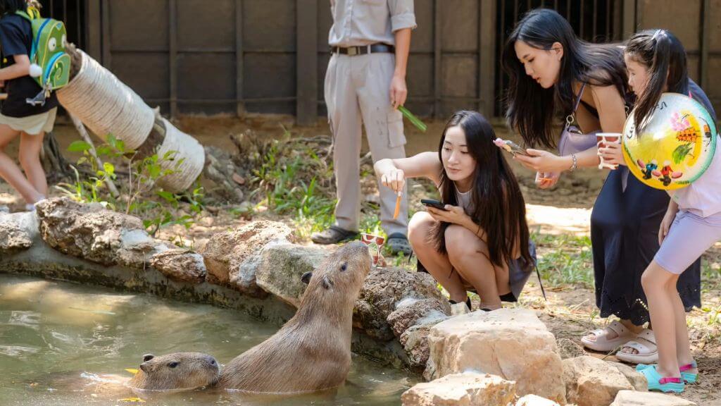 Ghé thăm Safari Phú Quốc