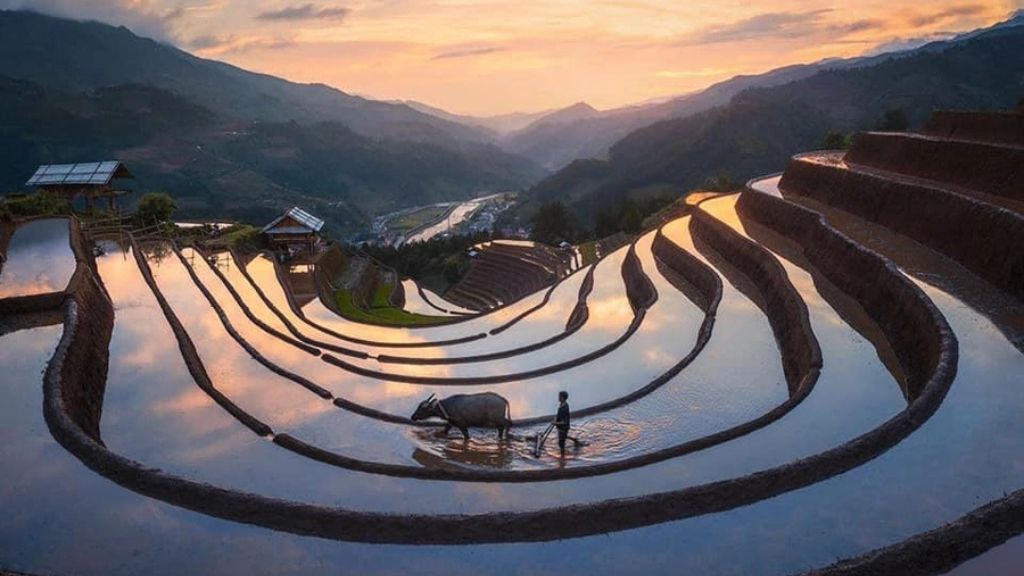 Ngắm nhìn khung cảnh bình minh tại vùng núi cao