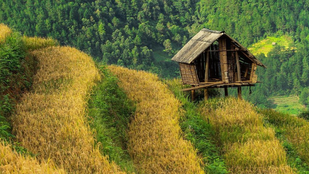 Ngắm nhìn khung cảnh yên bình tại cao nguyên