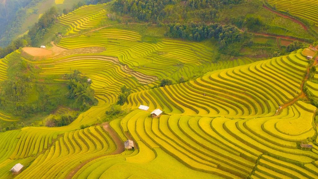 Ngắm nhìn ruộng bậc thang trên cao
