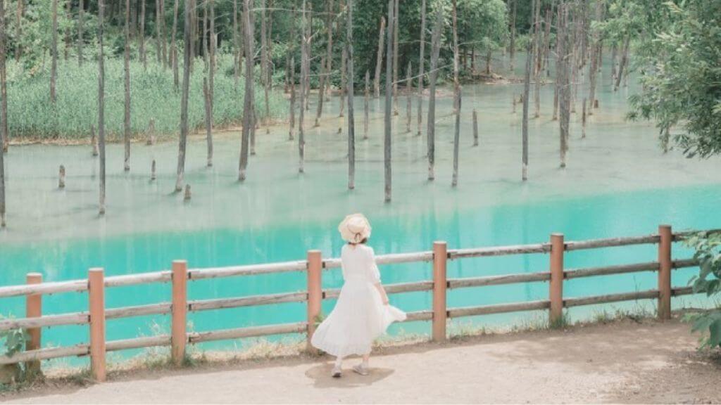 Hồ Biei - Tuyệt tác thiên nhiên của Hokkaido