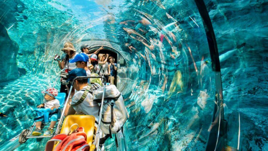 Vườn thú Asahiyama - Một trong những vườn thú nổi tiếng nhất Nhật Bản