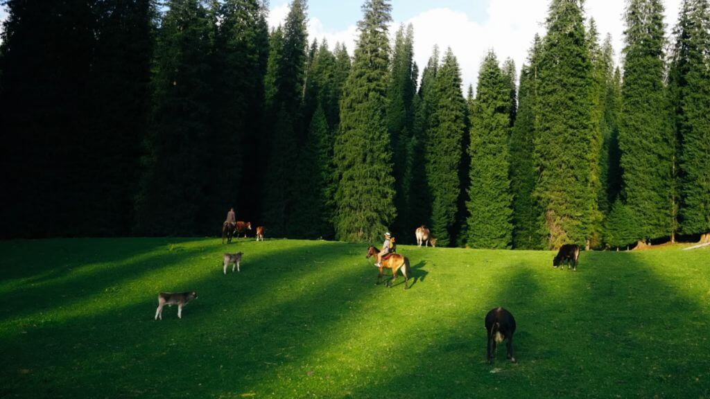 Khu danh lam thắng cảnh Kurdening   di sản thiên nhiên thế giới