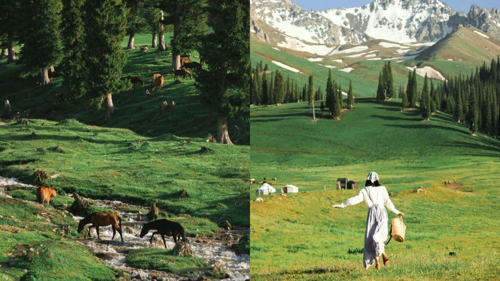 Khung cảnh mùa hạ tại thảo nguyen Nalati