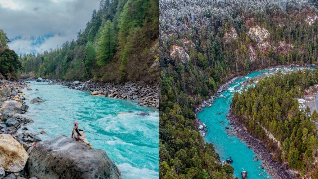 Rừng Vân sam nguyên sinh   Khu dự trữ sinh quyển quý giá