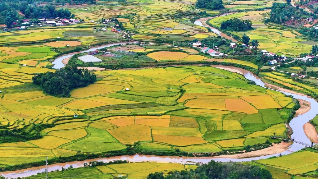 Những cánh đồng lúa bạt ngàn tại Măng Đen