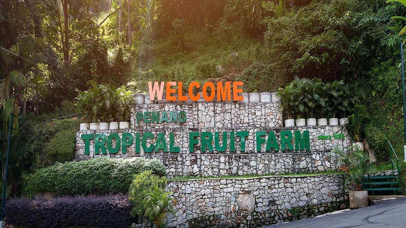 Vườn trái cây nhiệt đới Tropical Fruit Farm