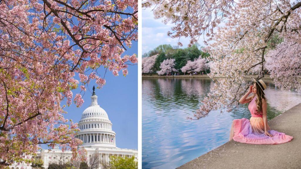 Check in tại Hồ Tidal Basin