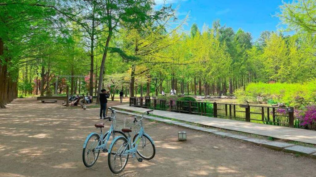 Đảo Nami – “hòn đảo tình yêu” nổi tiếng với khung cảnh thiên nhiên lãng mạn