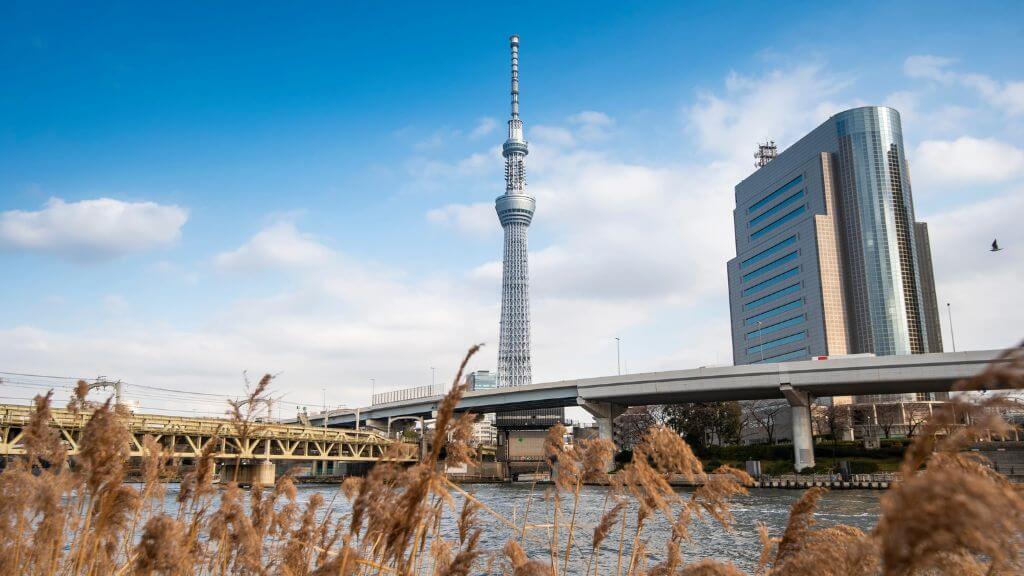 Chiêm ngưỡng tháp Tokyo Skytree từ sông Sumida