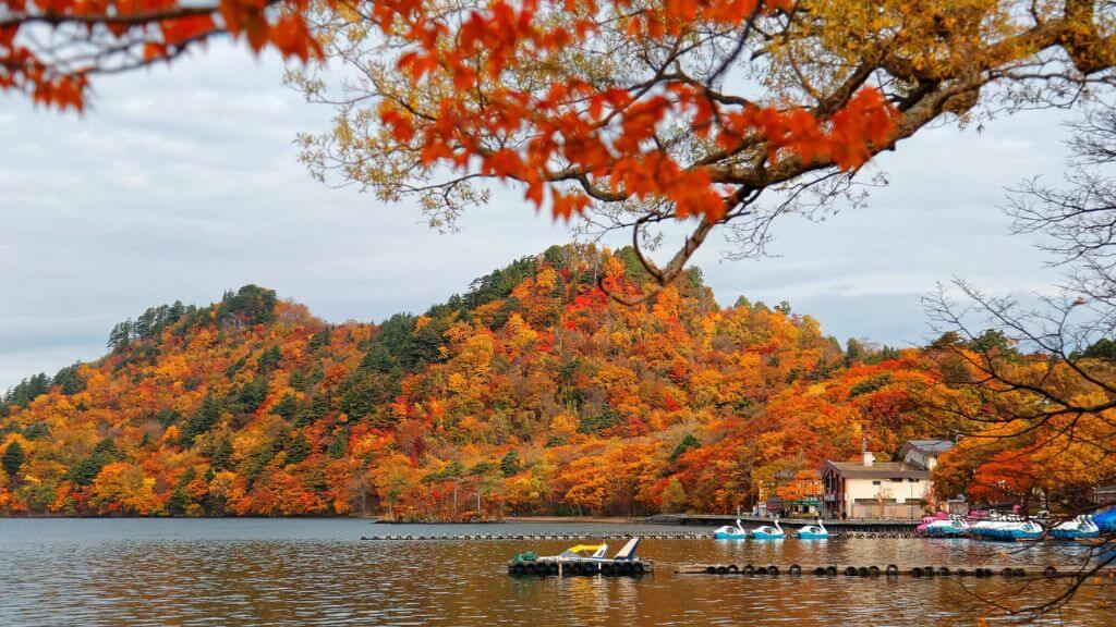 Khám phá Hokkaido mùa thu 6N5Đ
