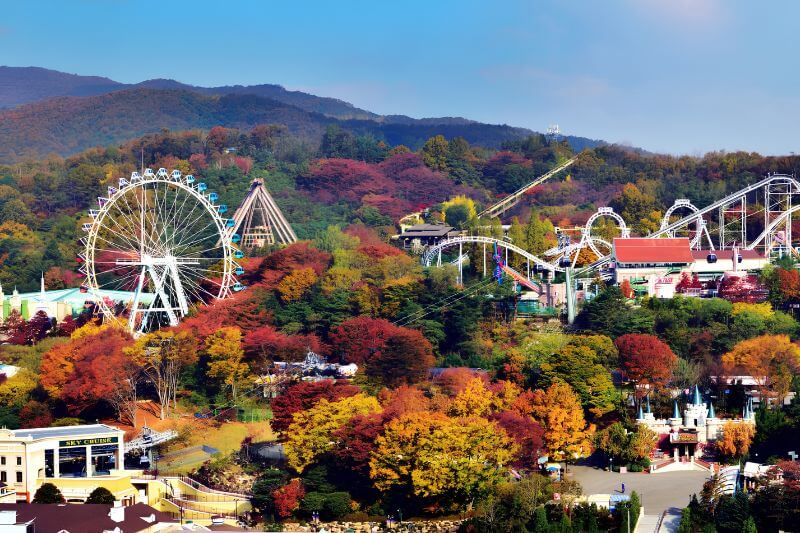 Khám phá Công viên Everland thiên đường giải trí hàng đầu Hàn Quốc