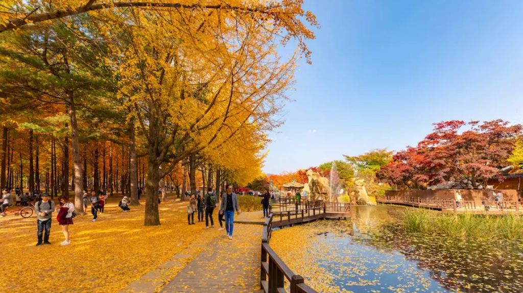 Checkin đảo Nami   hòn đảo lãng mạn bật nhất xứ kim chi