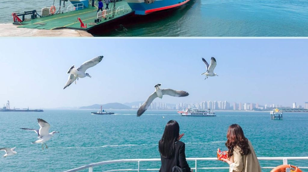 Du khách trải nghiệm đi Phà cho Hải Âu ăn lúc hoàng hôn