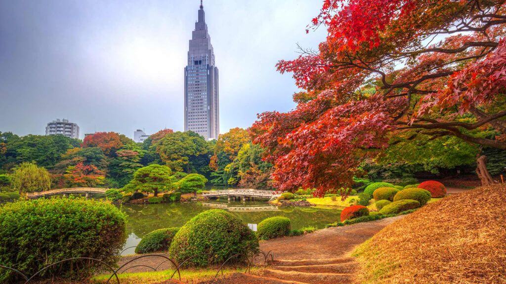 Chiêm ngưỡng vẻ đẹp của vườn quốc gia Shinjuku Gyoen nổi tiếng Nhật Bản