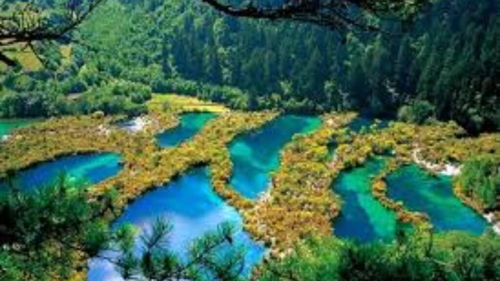 Vẻ đẹp Hồ Thụ Chính Cửu Trại Câu