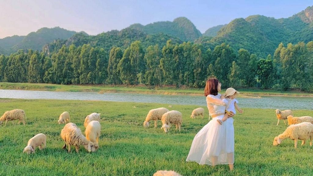 Khách du lịch tận hưởng vẻ đẹp yên bình tại đồng cừu