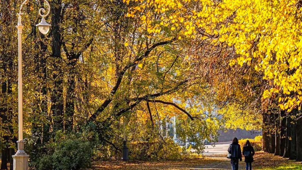 Sparrow Hills – Viên Ngọc Xanh Giữa Lòng Moscow