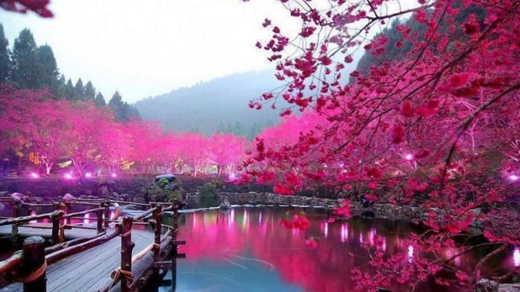 Hồ Nhật Nguyệt khi xuân về