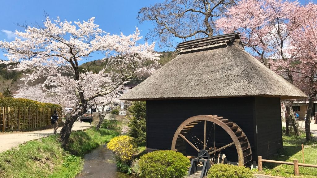 Tìm hiểu văn hóa truyền thống tại Làng Oshino Hakkai