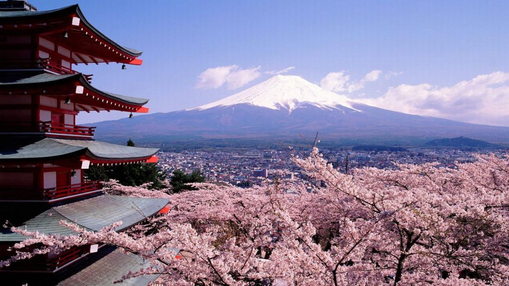 Chiêm ngưỡng Phú Sĩ thơ mộng trong mùa hoa anh đào