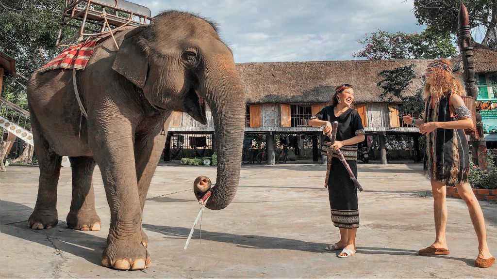 Trải nghiệm cưỡi voi tại Khu du lịch Buôn Đôn