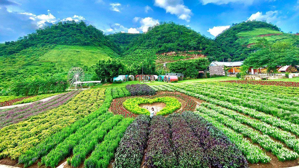 Vườn hoa Happy Land một vùng đất trồng rất nhiều các loại hoa