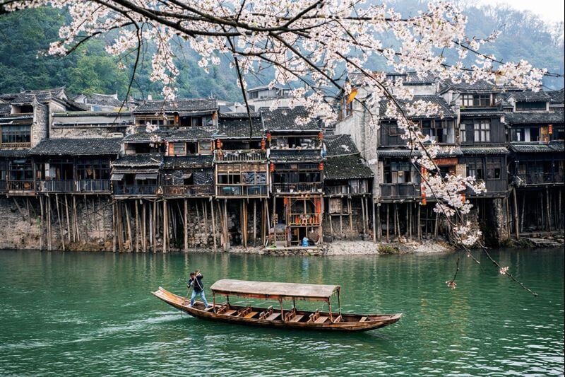 Cảnh sắc mùa hoa anh đào ở Phượng Hoàng Cổ Trấn