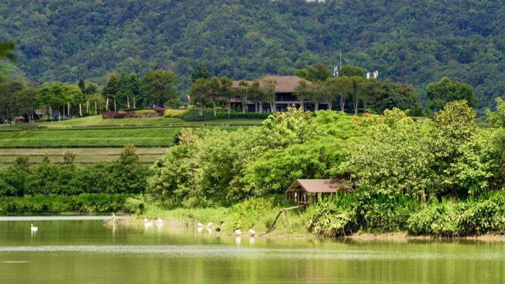 Khung cảnh thiên nhiên bình yên với mặt hồ và đồng cỏ tại công viên nông trại Singha Park