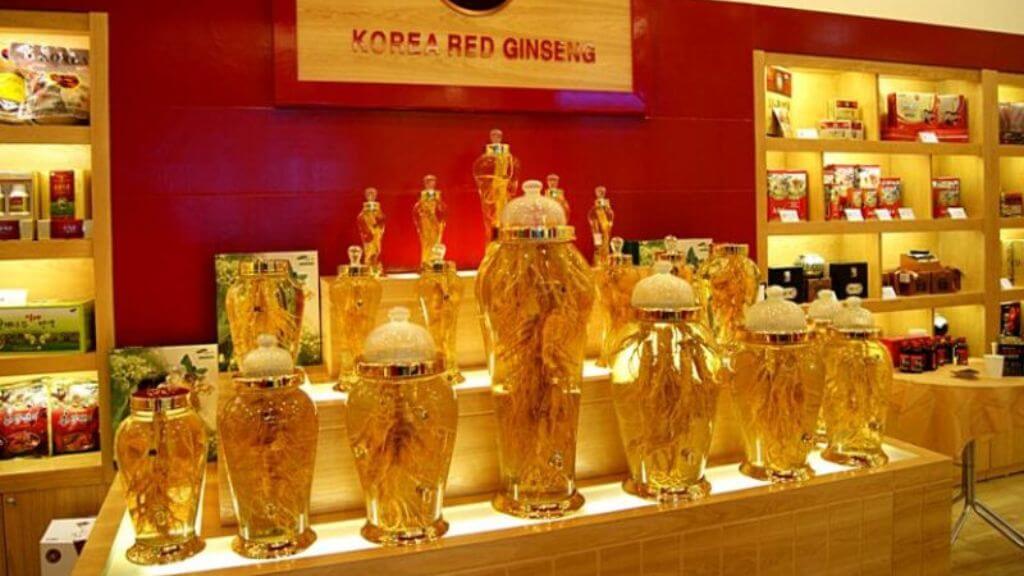 Ghé tham quan Trung tâm nhân sâm chính phủ
