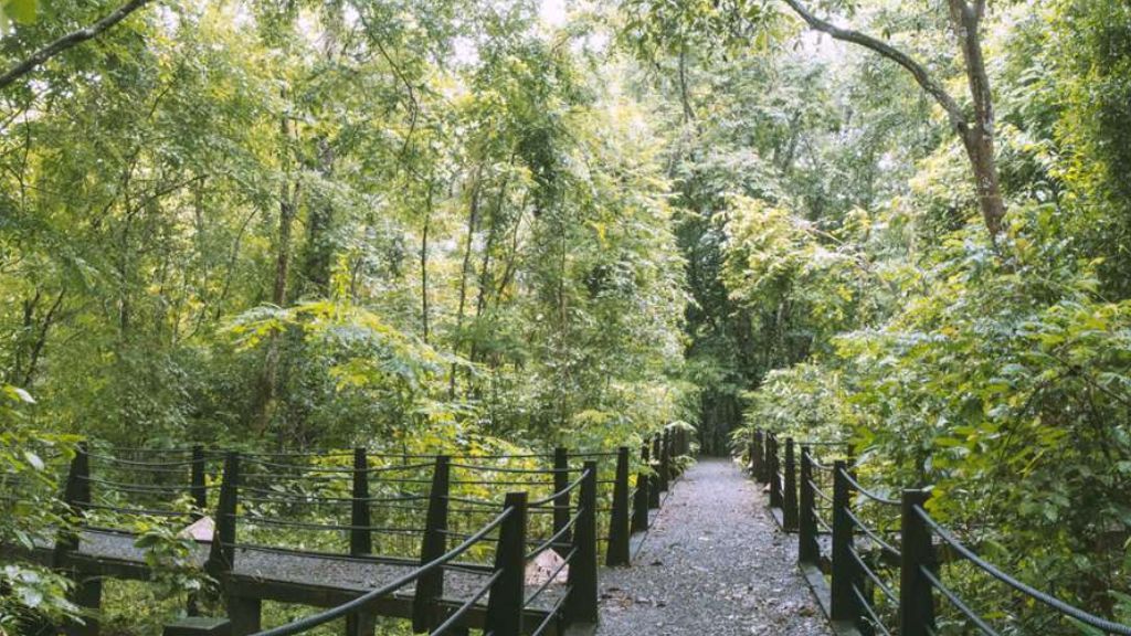 Khung cảnh Bàu Sấu thuộc vườn quốc gia Nam Cát Tiên