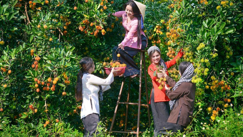 Trải nghiệm miệt vườn trong tour miền Tây